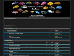 Free forum : African cichlids Ireland