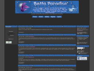 Free forum : Betta-Paradise