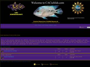 Central American Cichlid Research