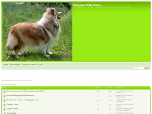 Romanian Collie Forum