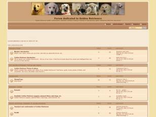 Golden Retrievers Forum