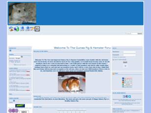 A Great Forum For Hamster & Guinea P