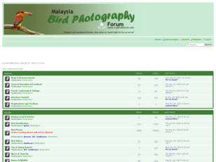 Malaysia Bird Photography Forum