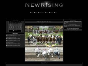 NewRising Home page