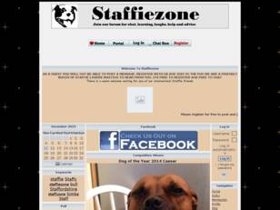 Staffordshire Bull Terrier Chat and Learn Forum