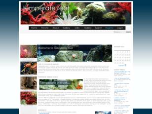 Temperate Reef