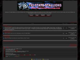 TRI-STATE STALLIONS