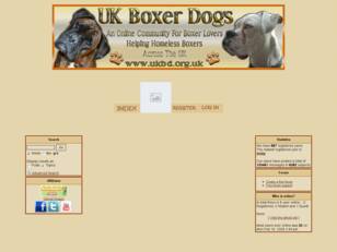 UK Boxer Dogs