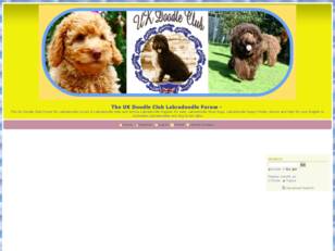 The UK Labradoodle Forum, Ukdoodleclub, Labradoodle Breeders