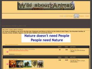 Wild About Animals